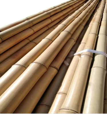 Canna di bambù Moso per decorazione e costruzione